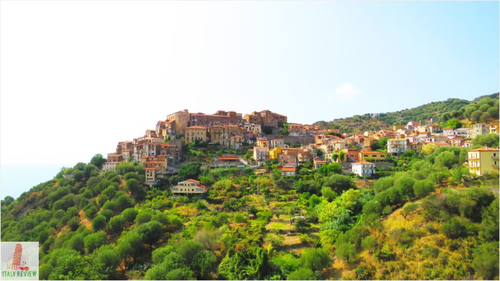 Pisciotta