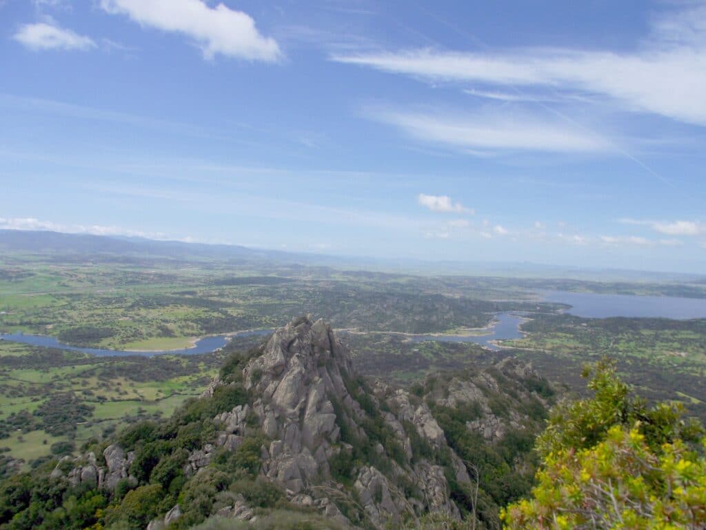 Berchidda