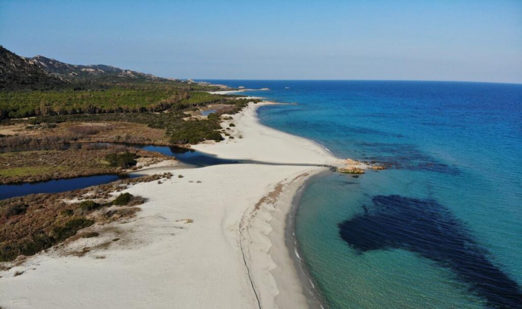Berchidda