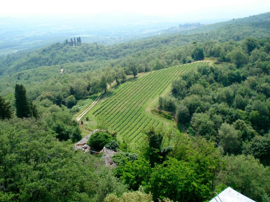 Bucine