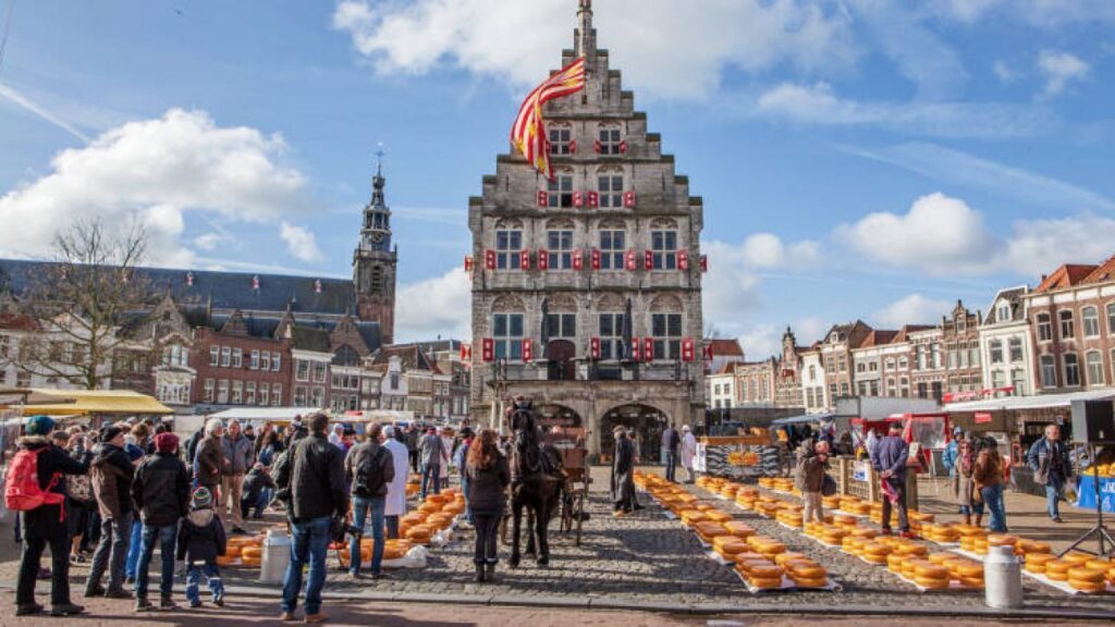 Gouda