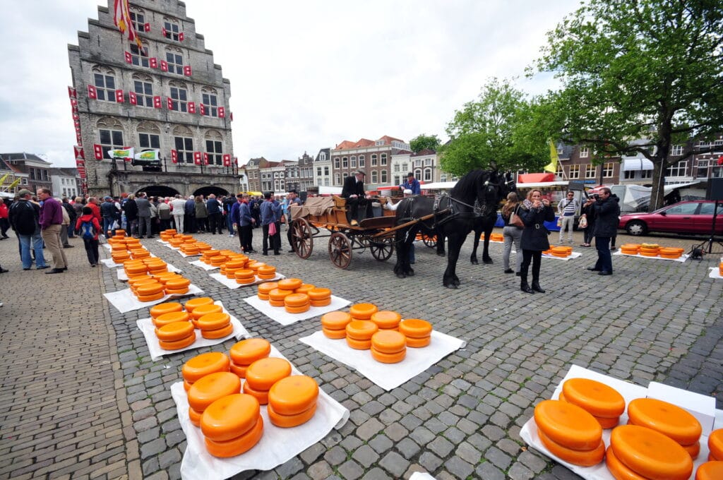 Gouda