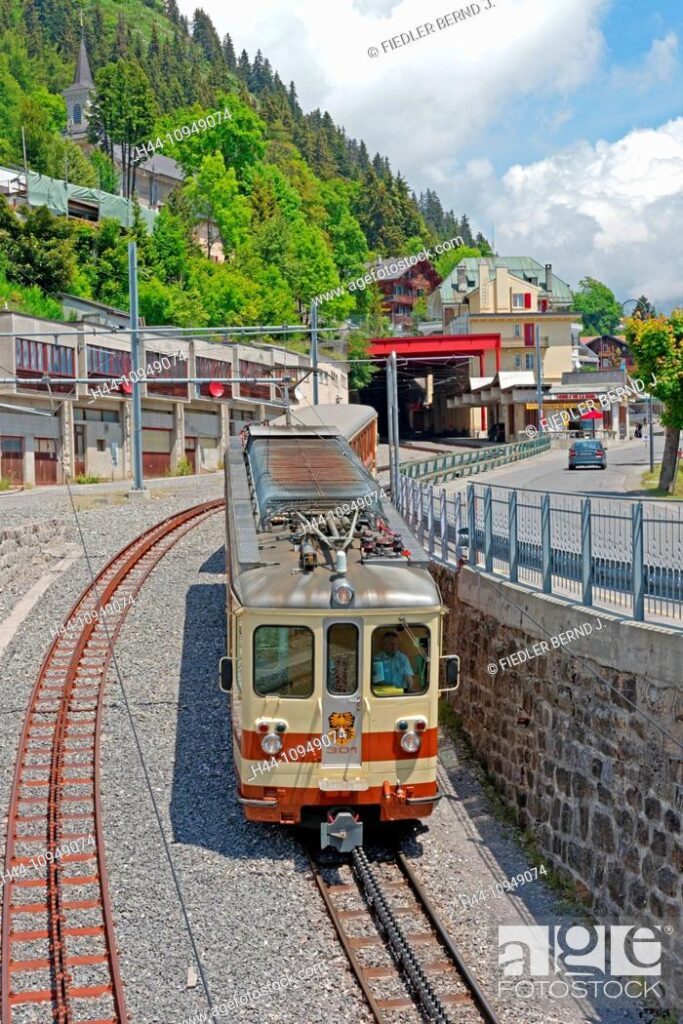 Leysin Feydey