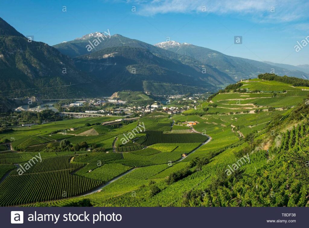Sierre