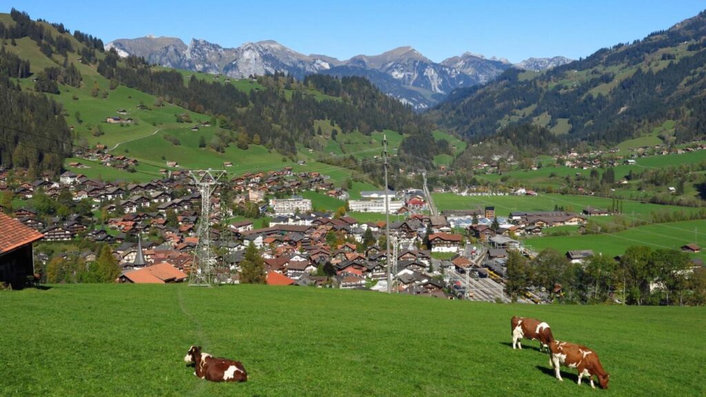 Zweisimmen