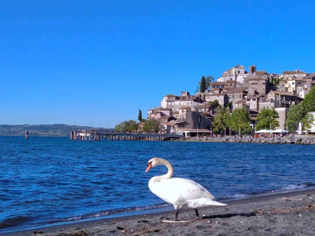 Anguillara