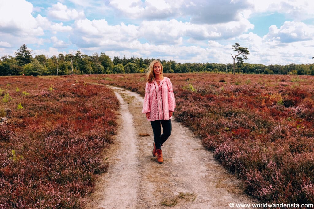 Heide