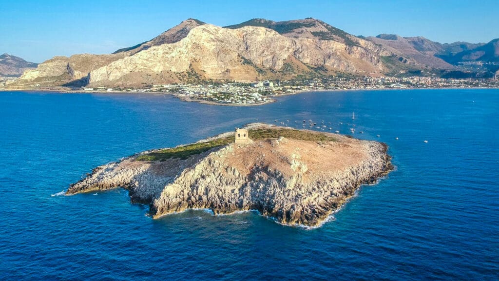 Otok samic