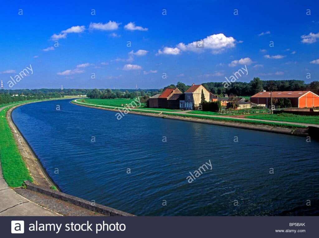 Німі