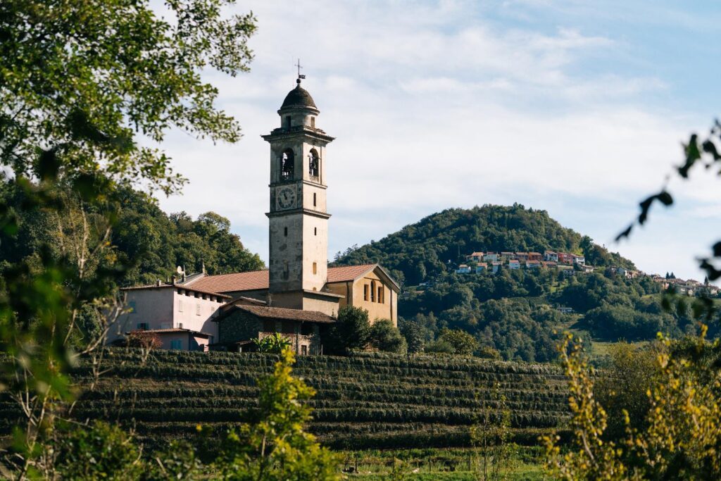 Sessa