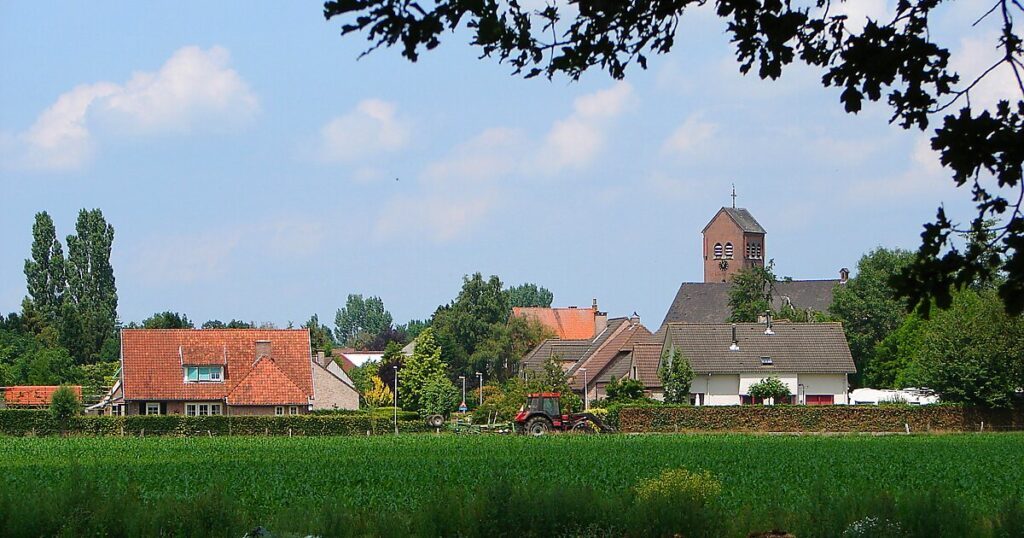 Wildert