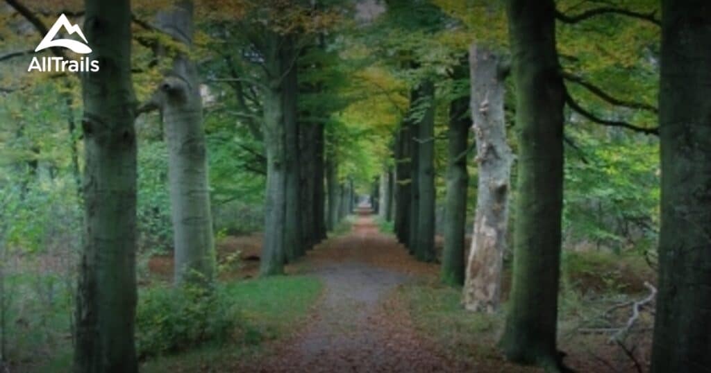 Hollandsche Rading
