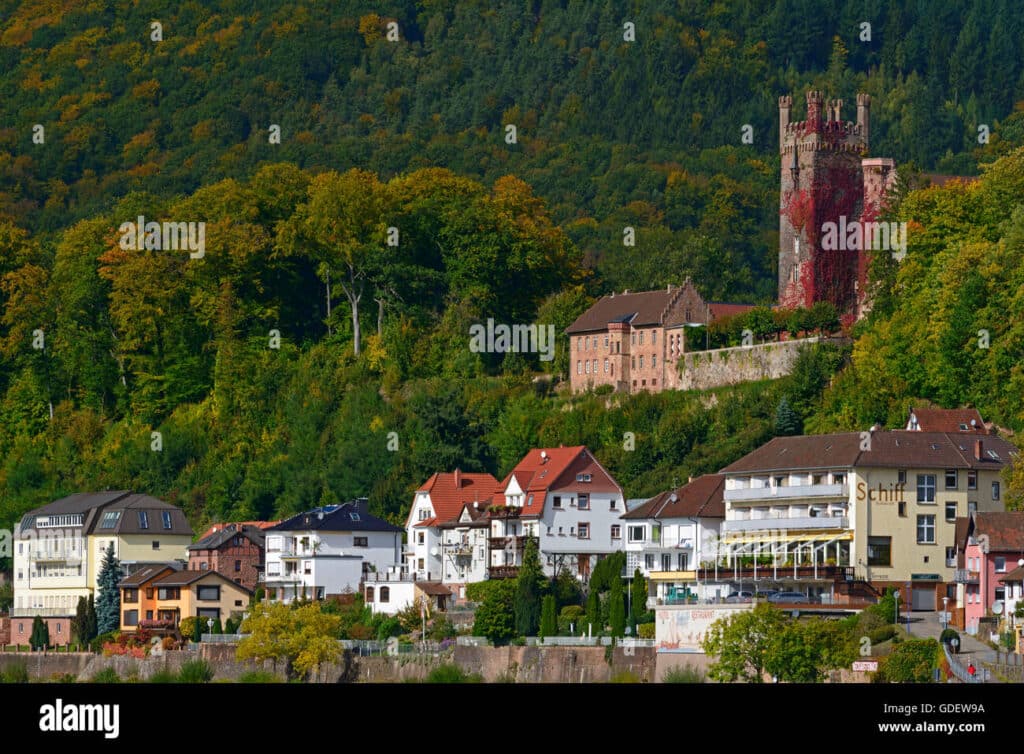 Neckarsteinach