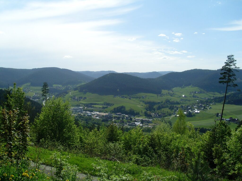 Klosterreichenbach station