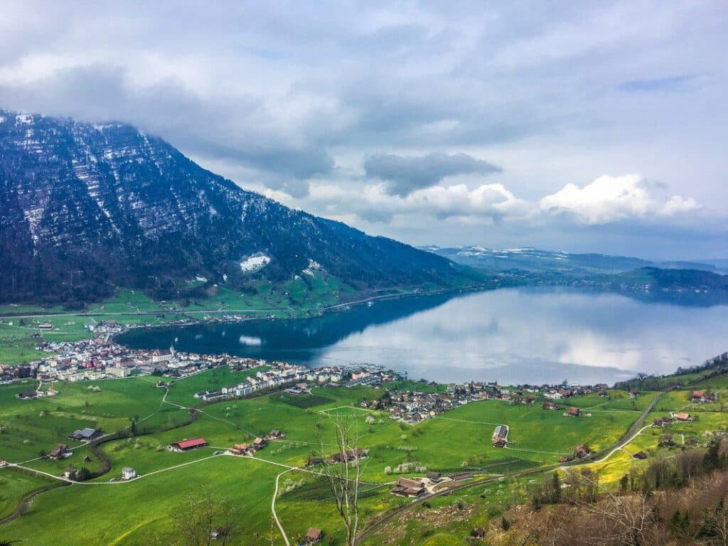 Art Goldau