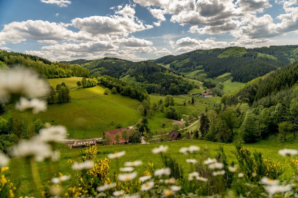 Hausach